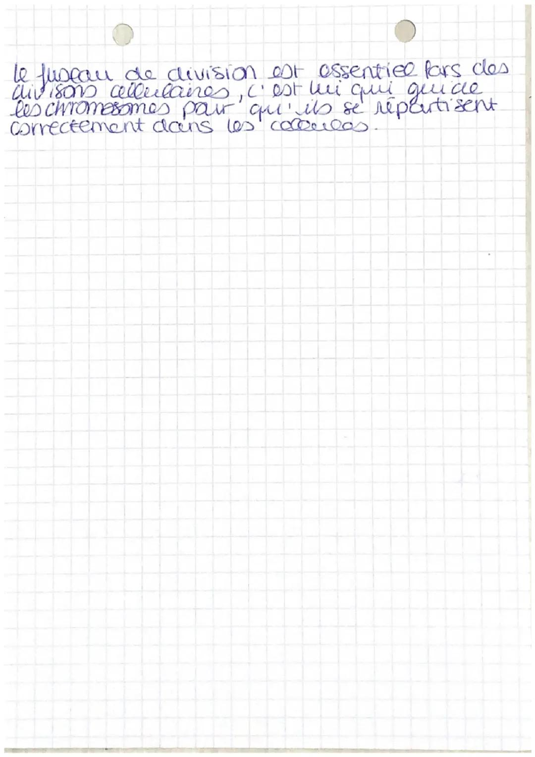 G1
2=4
• SVT chap 4.
INTERPHASE
Division de mitose:
4 mere
x
S G2 Mi G1
S G2 Me
Cycle cellulaire
XX
88
paire de
chromosomes
0x
& fille
cytop