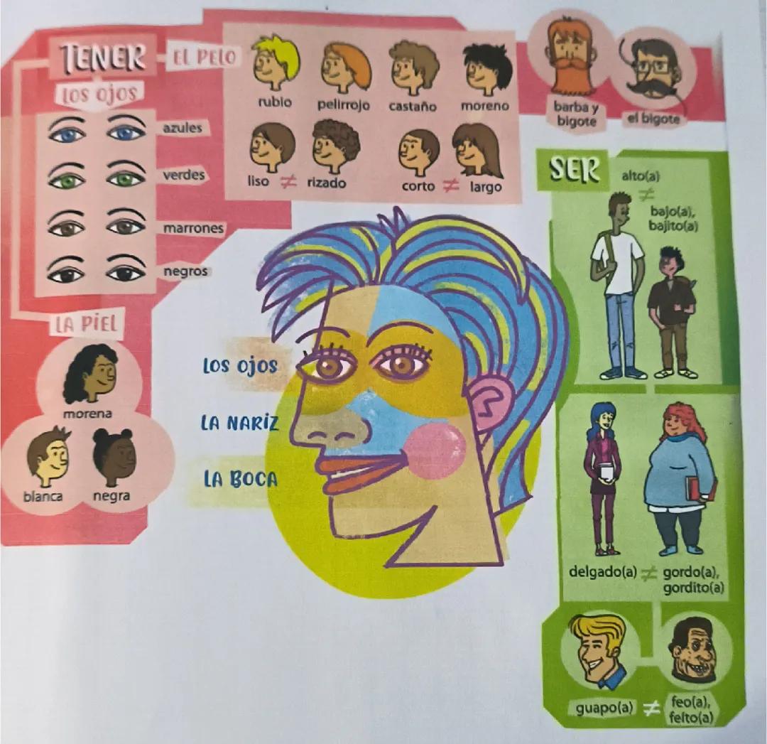 La description physique en Espagnol 