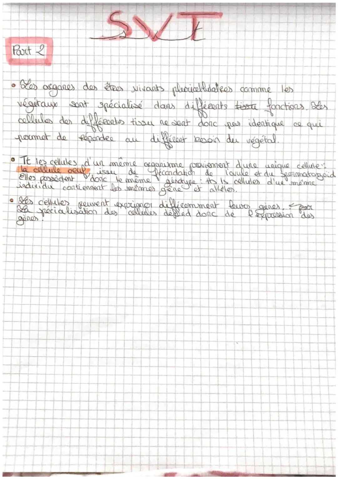 • Lorganisme pluoricellulaire
O
- Tout les êtres vivants sont constituer de cellules.
On distingue & geard type de cellules:
•
possede I noy