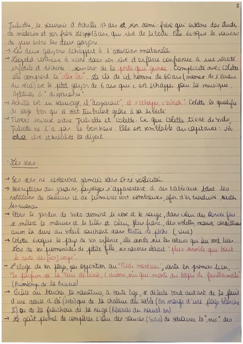 Sido
1
·la célébration de la mère.
→ Colette und hommage à sa mene: veiles "charter" et "célébres."
au présent d'ennonciation. La suire au p