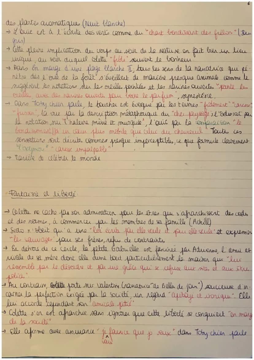 Sido
1
·la célébration de la mère.
→ Colette und hommage à sa mene: veiles "charter" et "célébres."
au présent d'ennonciation. La suire au p