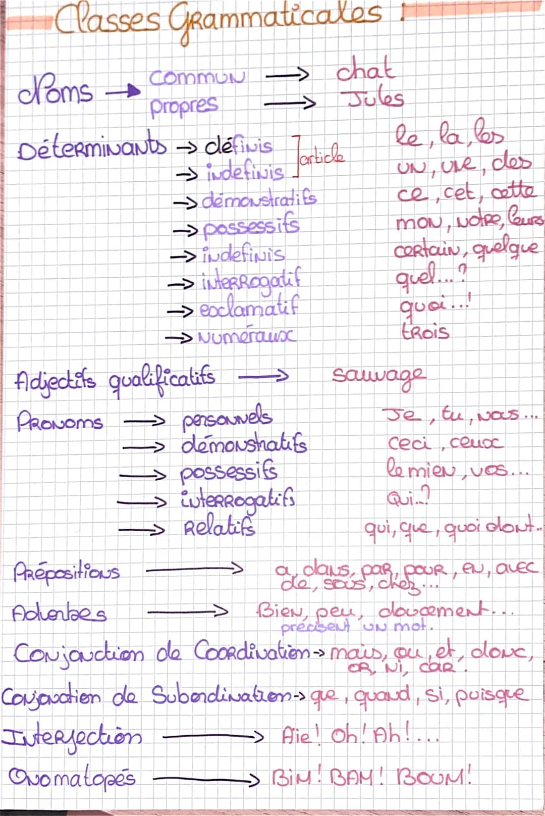 Classes Grammaticales
COMMUN -> chat
propres
Jules
Noms
Déterminants
PRépositions
Adverbes
د
→ définis
→ indefinis forticle
-> demonstratifs