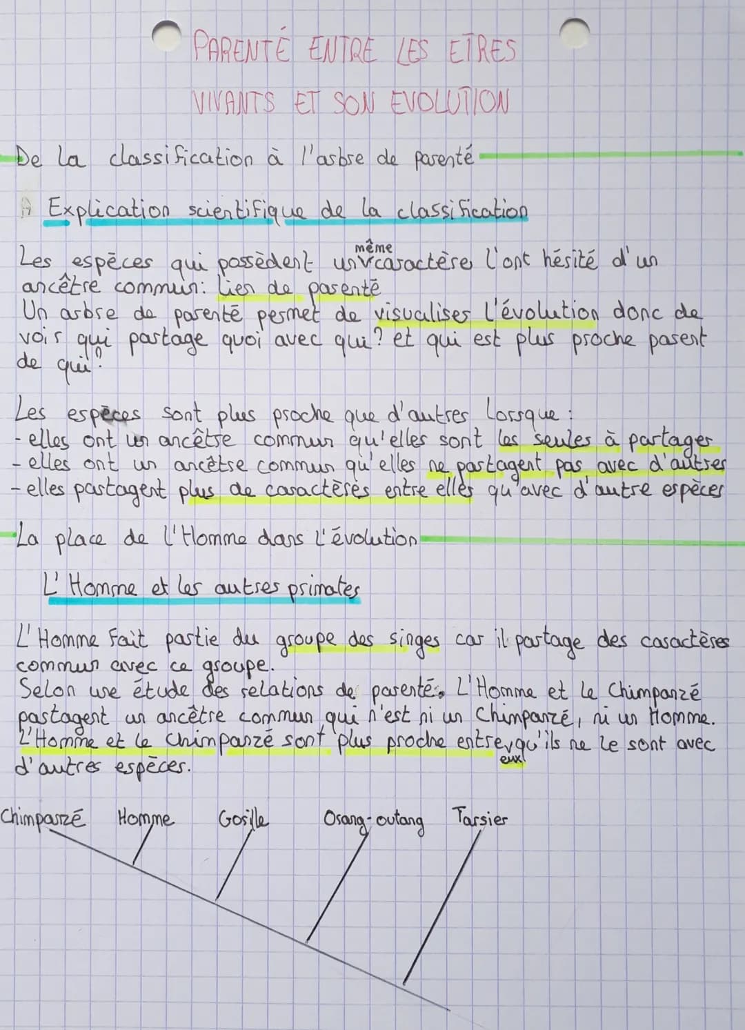 Parenté entre les êtres vivants et son évolution
