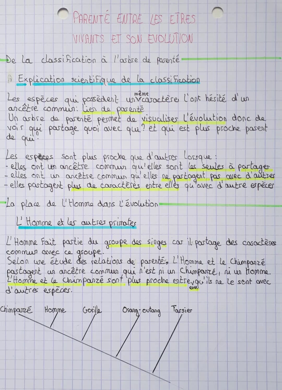 PARENTE ENTRE LES ETRES
VIVANTS ET SON EVOLUTION
De la classification à l'arbre de parente.
9 Explication scientifique de la classification
