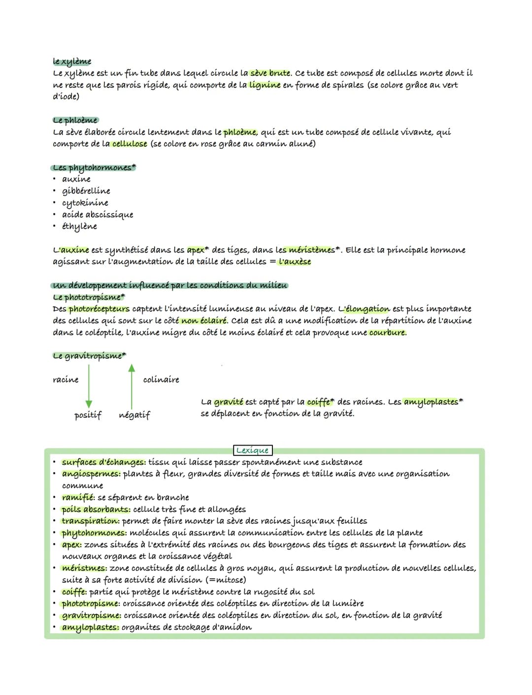 SVT
L'organisation fonctionnelle des plantes à fleurs
appareil aérien
ou caulinaire
・appareil
Les feuilles
_appareil
- sève brute (des racin