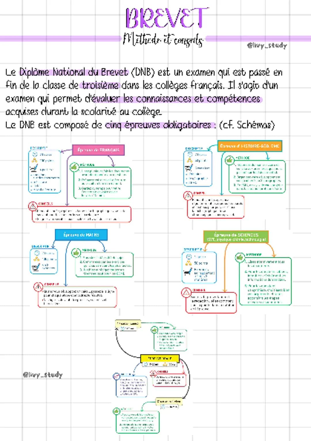 Prépare ton Diplôme National Brevet avec des conseils cools