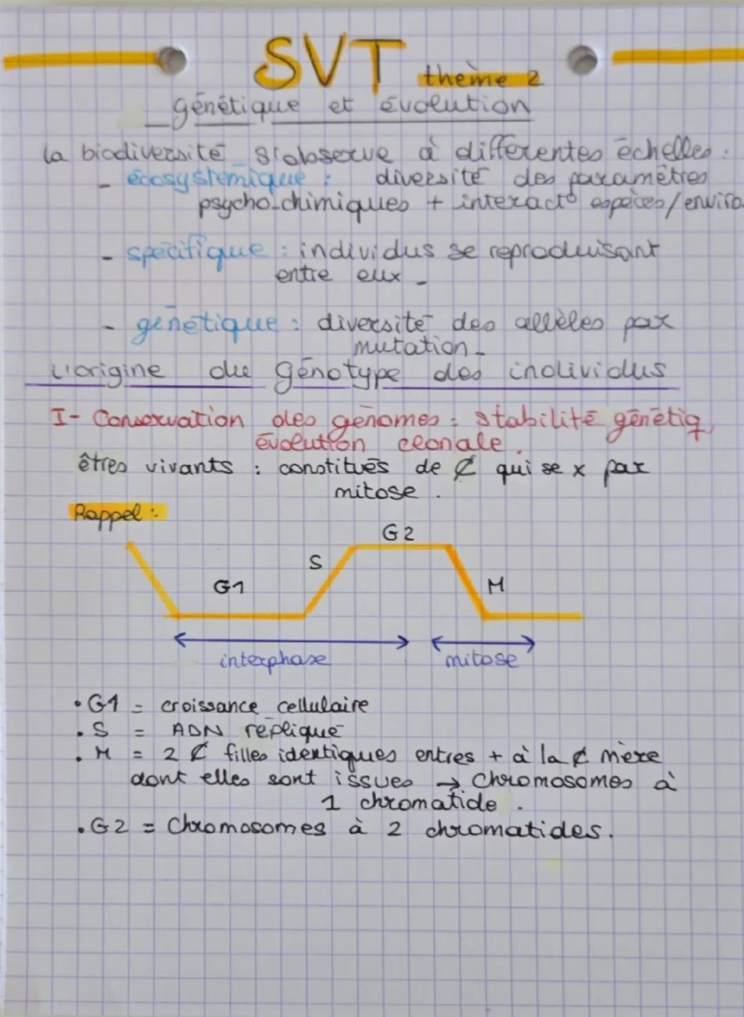 --- OCR Start ---
SVT theme 2
génétique et évolution
la biodiversité siobserve à differentes échelles.
ecosystemi qabse diversité des paramè