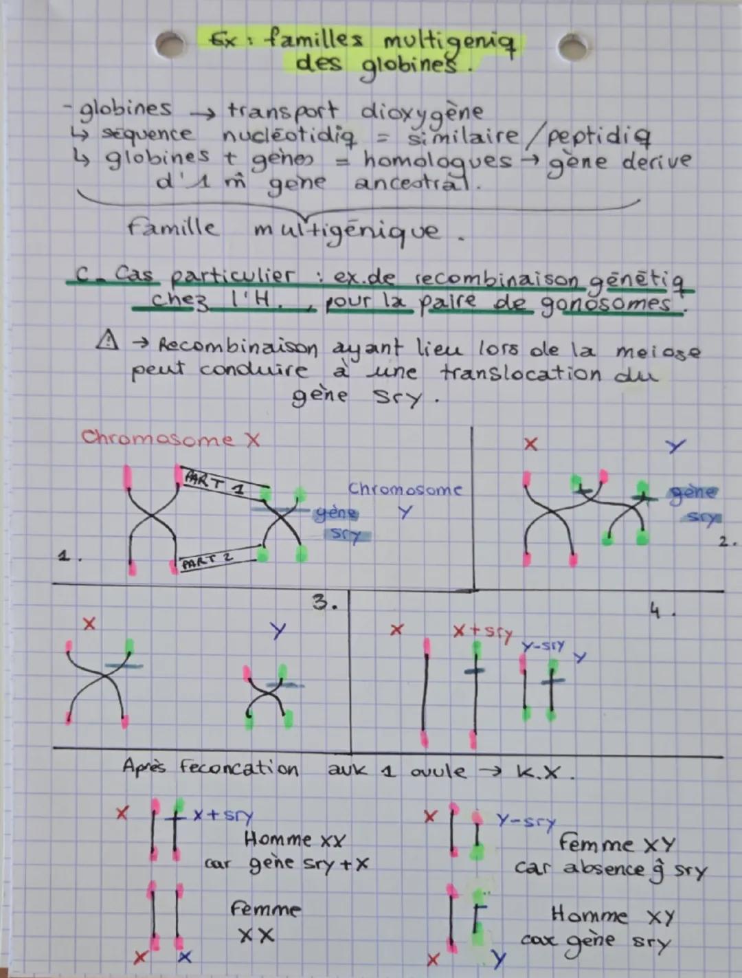 --- OCR Start ---
SVT theme 2
génétique et évolution
la biodiversité siobserve à differentes échelles.
ecosystemi qabse diversité des paramè