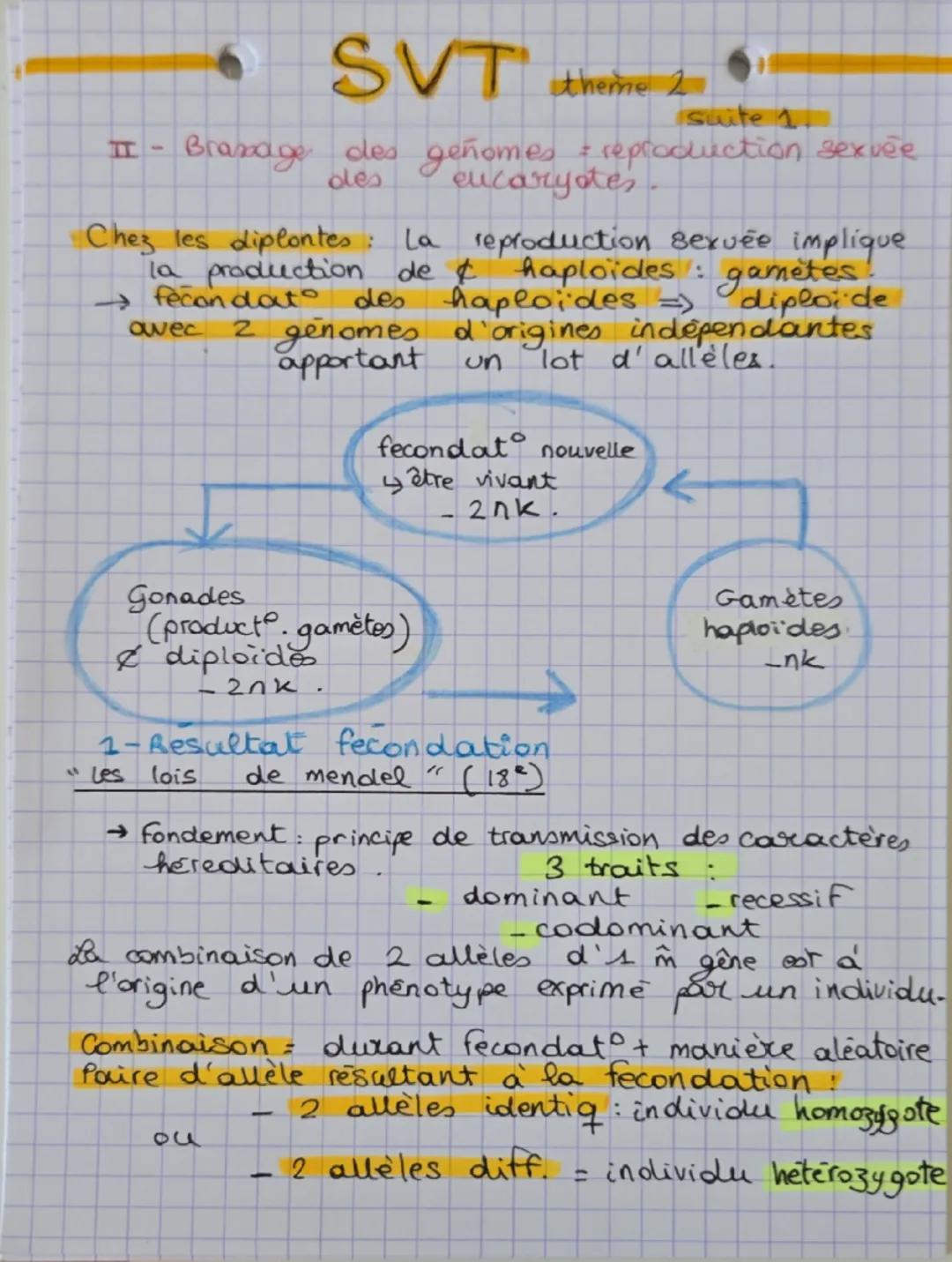 --- OCR Start ---
SVT theme 2
génétique et évolution
la biodiversité siobserve à differentes échelles.
ecosystemi qabse diversité des paramè