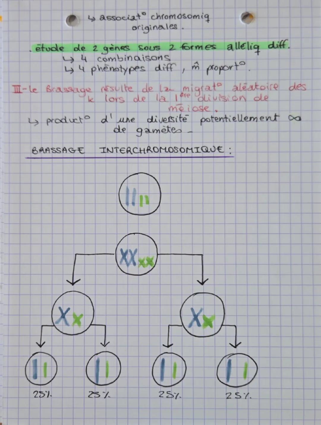 --- OCR Start ---
SVT theme 2
génétique et évolution
la biodiversité siobserve à differentes échelles.
ecosystemi qabse diversité des paramè