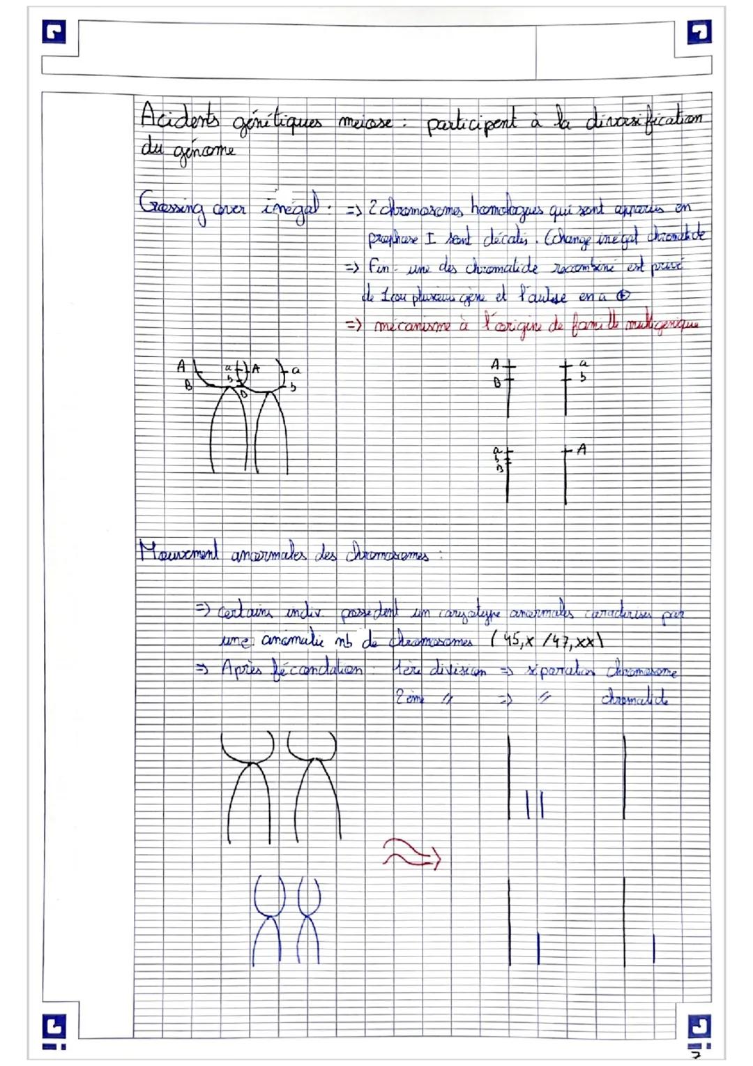 Acident's génétiques meiose participent à la discsification
gename
du
Gessing
cover
A
B
imegal.
.a
b
=> 2 chromosomes homologues qui sont ap