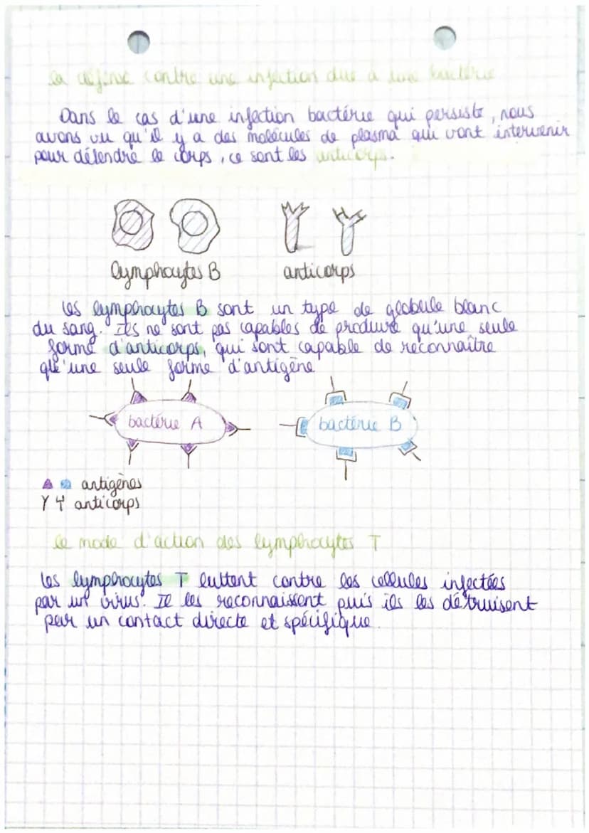 SVT
les reactions de l'organisme
Parfos, les mi viobes pathogènes (qui de clenchent des maladies)
fran Chussent les barrières du corps, la p