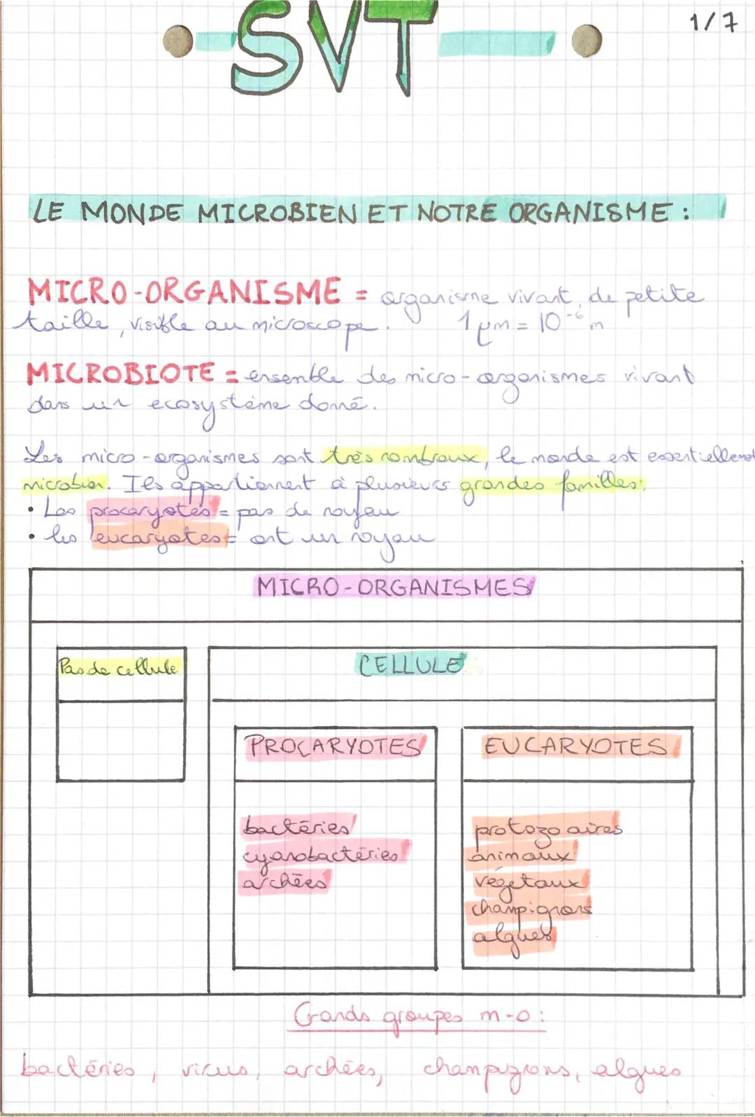 Fiche de révision SVT 3ème : Le monde microbien et notre santé