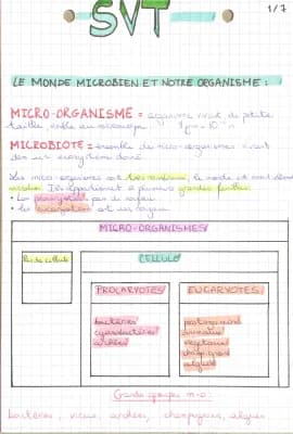 Know Svt « Le monde microbien et notre organisme » 3e thumbnail