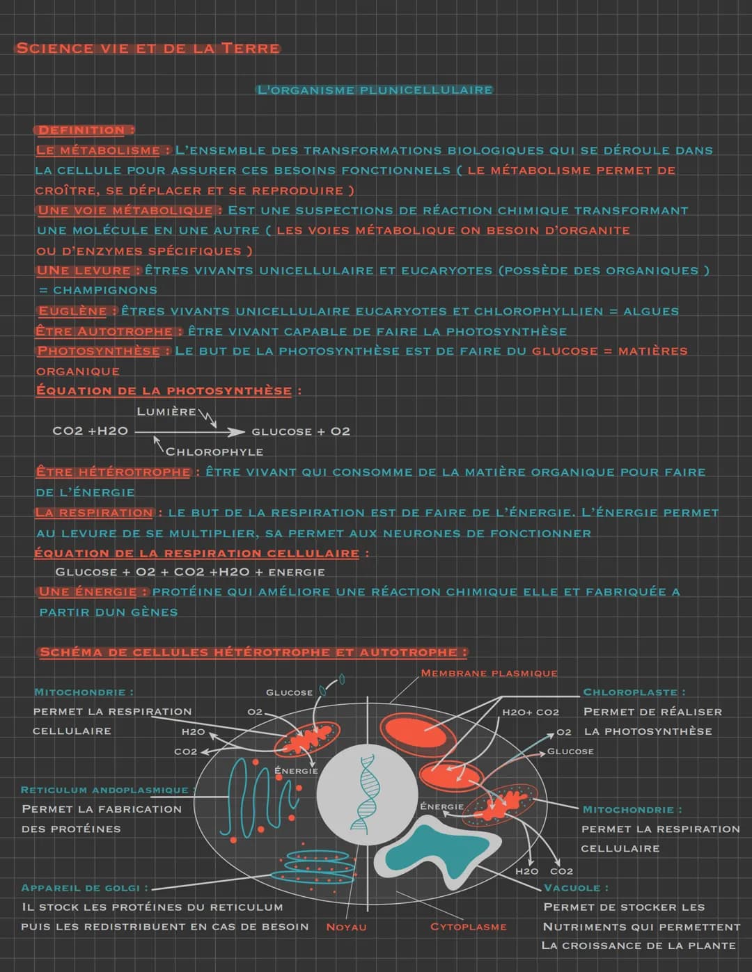 SCIENCE VIE ET DE LA TERRE
DEFINITION :
LE MÉTABOLISME : L'EnSEMBLE DES TRANSFORMATIONS BIOLOGIQUES QUI SE DÉROULE DANS
LA CELLULE POUR ASSU