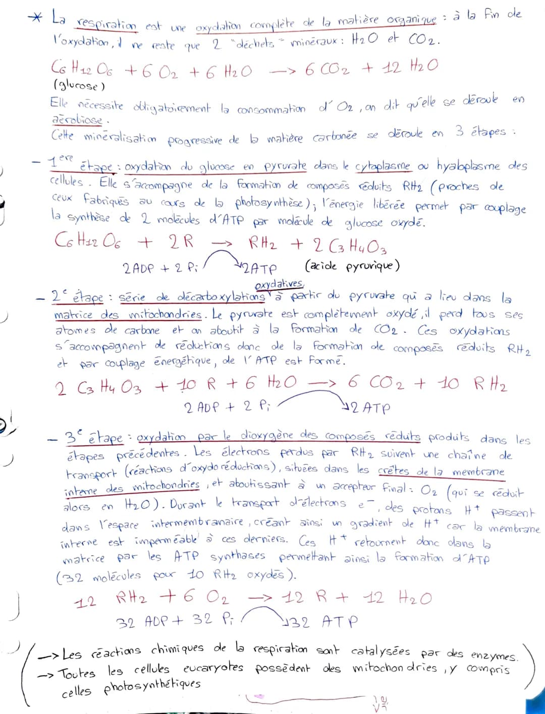 * La respiration est une oxydation complète de la matière organique : à la fin de
l'oxydation, il ne reste que 2 "déchets
minéraux: H₂O et C