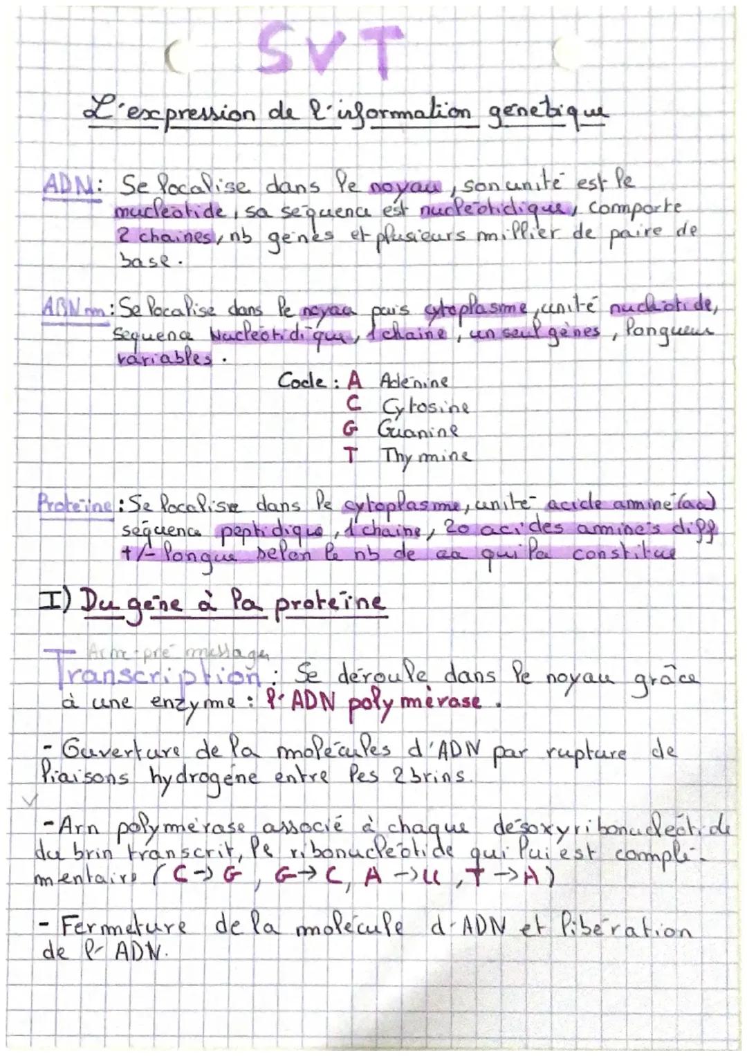  L’expression de l’information génétique 