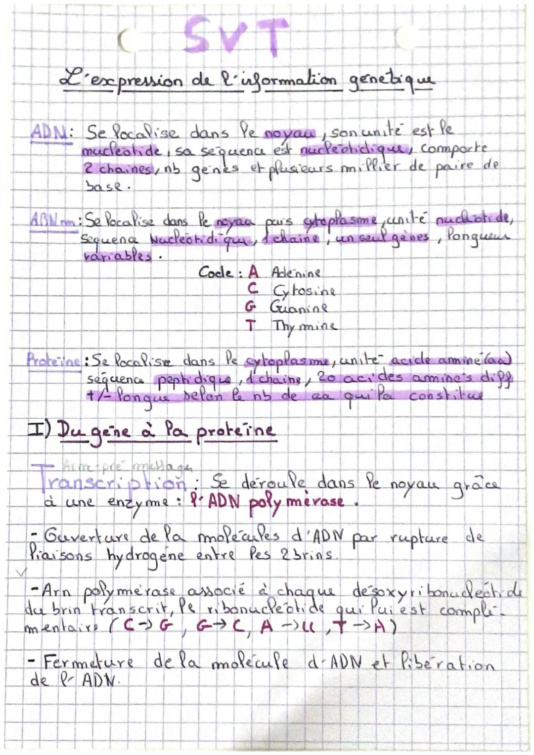 SVT
L'expression de l'information genetique
ADN: Se localise dans le
mucleotide, sa sequence
noyau, son unité est le
est nucleotidique, comp