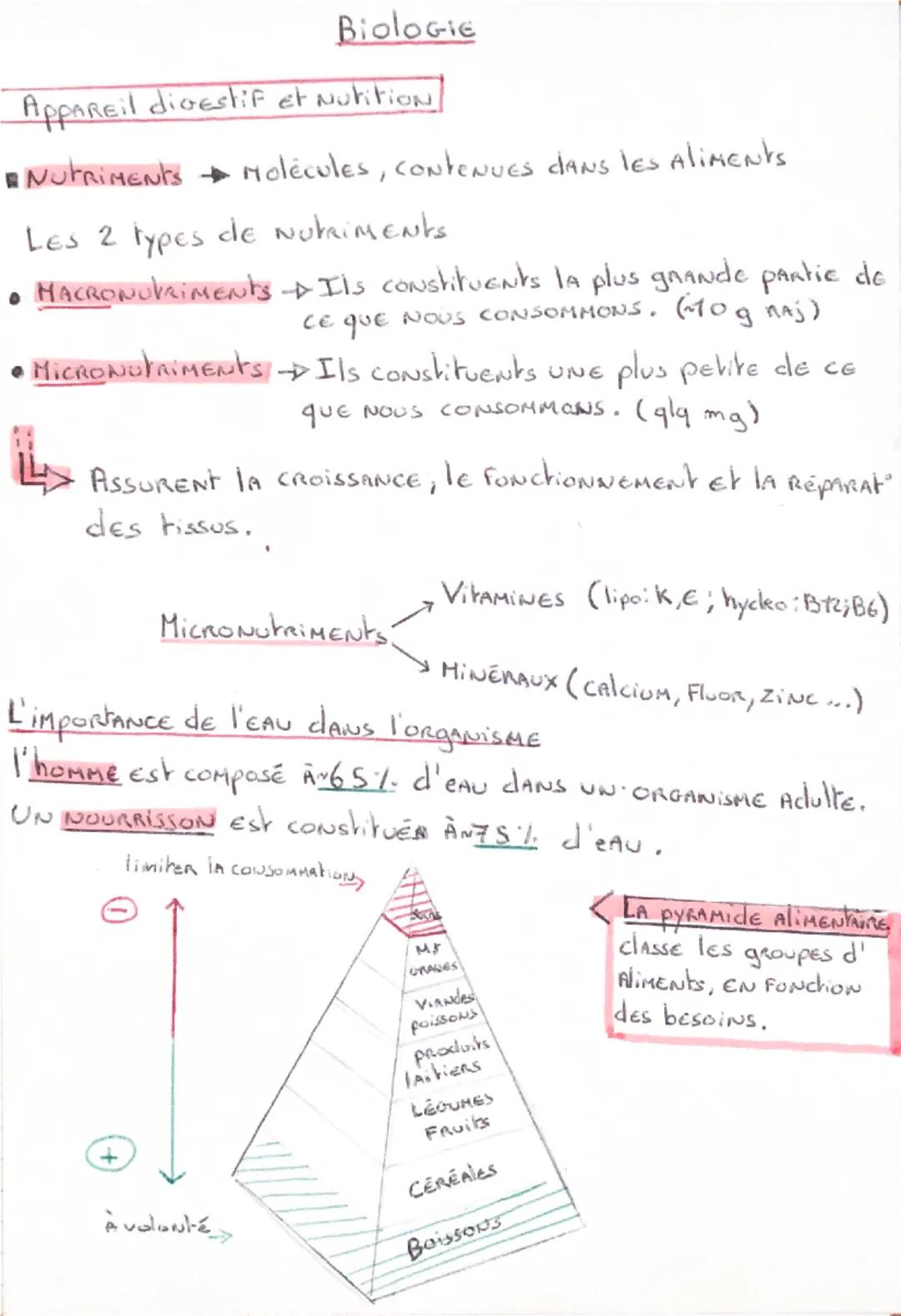 Biologie

Appareil digestif et Nutition

NutriMENTS Molècules, Contenues dans les Aliments

Les 2 types de Nutriments

• HACRONUTRIMENTS → I