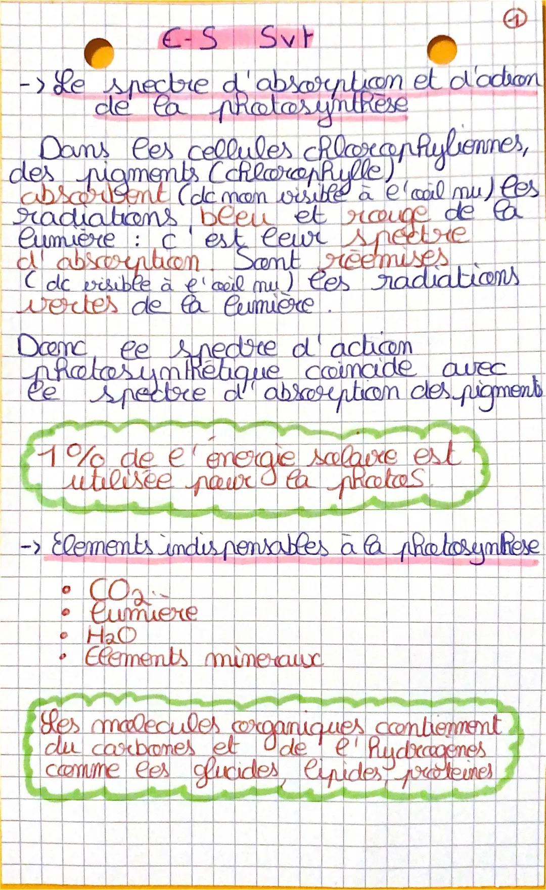 Comprendre la Photosynthèse: Conversion de l'Énergie Solaire en PDF