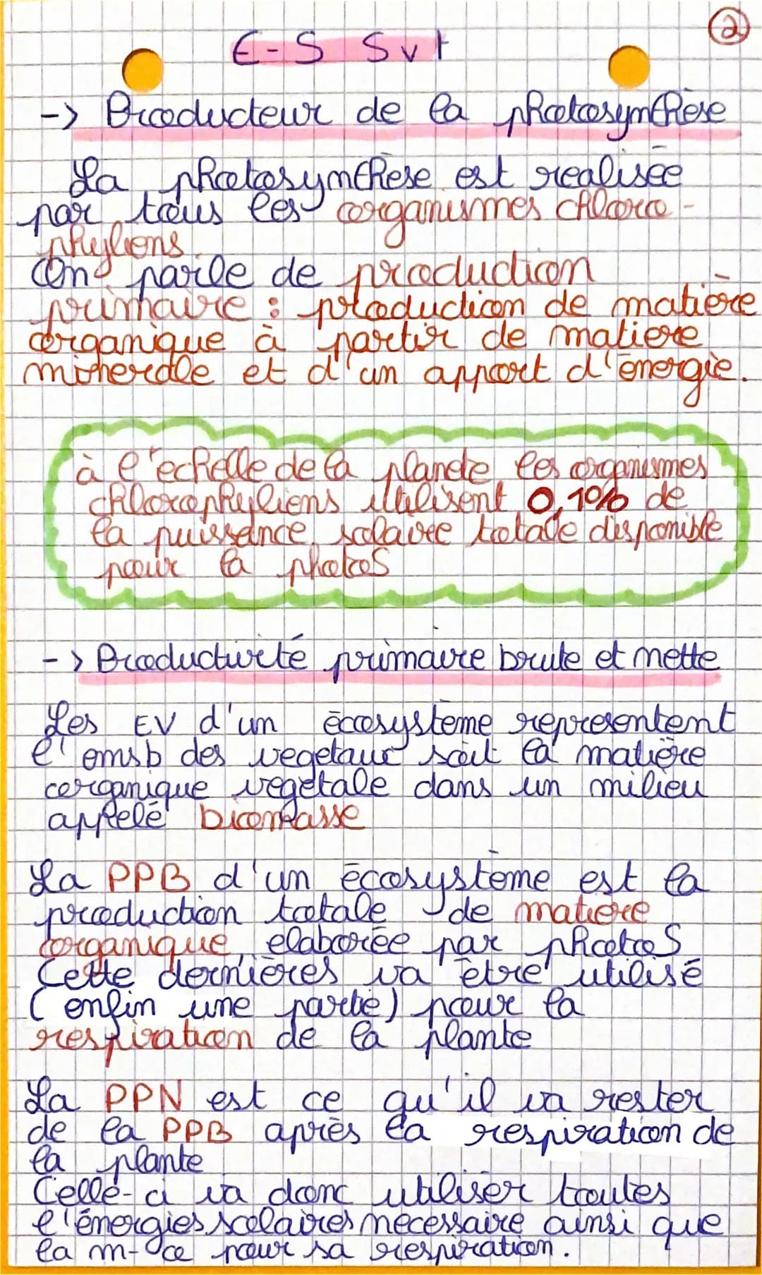 €-S
SvF
- Le spectre d'absorption et d'adion
de la photosynthese
Dans les cellules chlorophyliennes,
des pigments (chlorophylle)
absorbent (