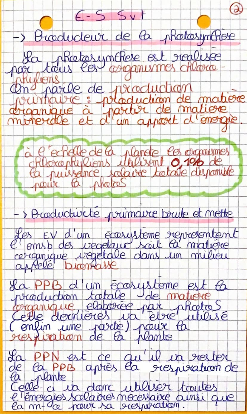 €-S
SvF
- Le spectre d'absorption et d'adion
de la photosynthese
Dans les cellules chlorophyliennes,
des pigments (chlorophylle)
absorbent (
