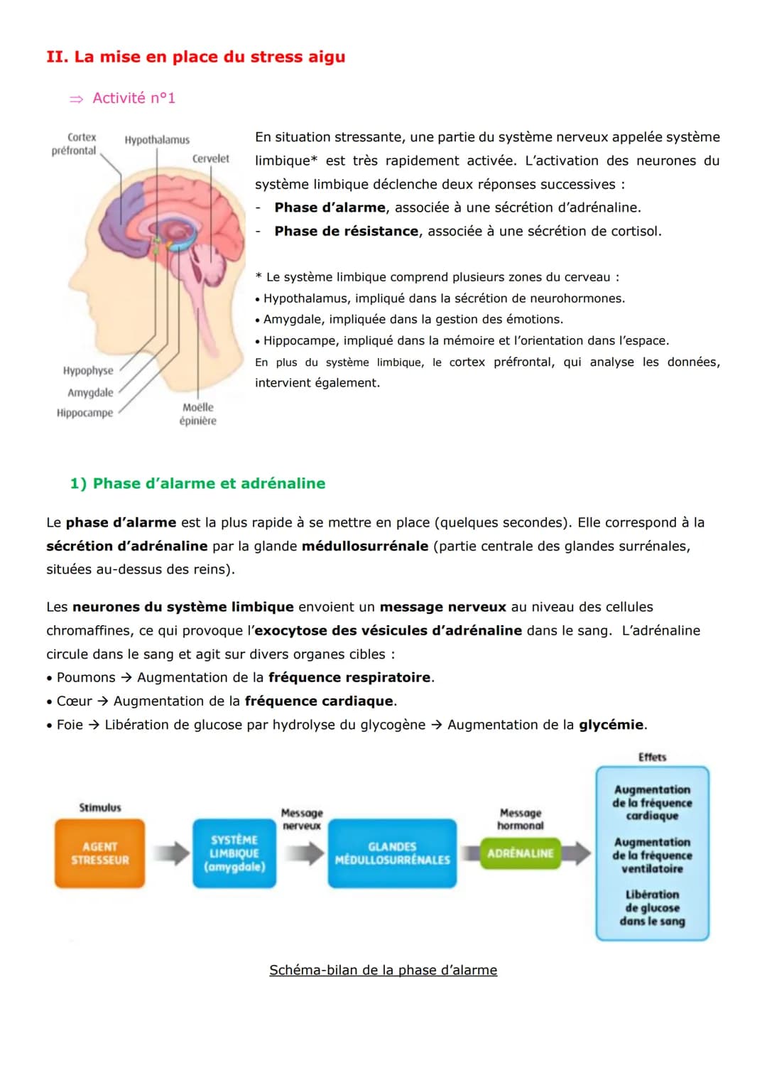 Thème 3 - Corps humain et santé
Chapitre 19:
Comportements et stress : l'adaptabilité de l'organisme
Nous vivons dans un environnement varia
