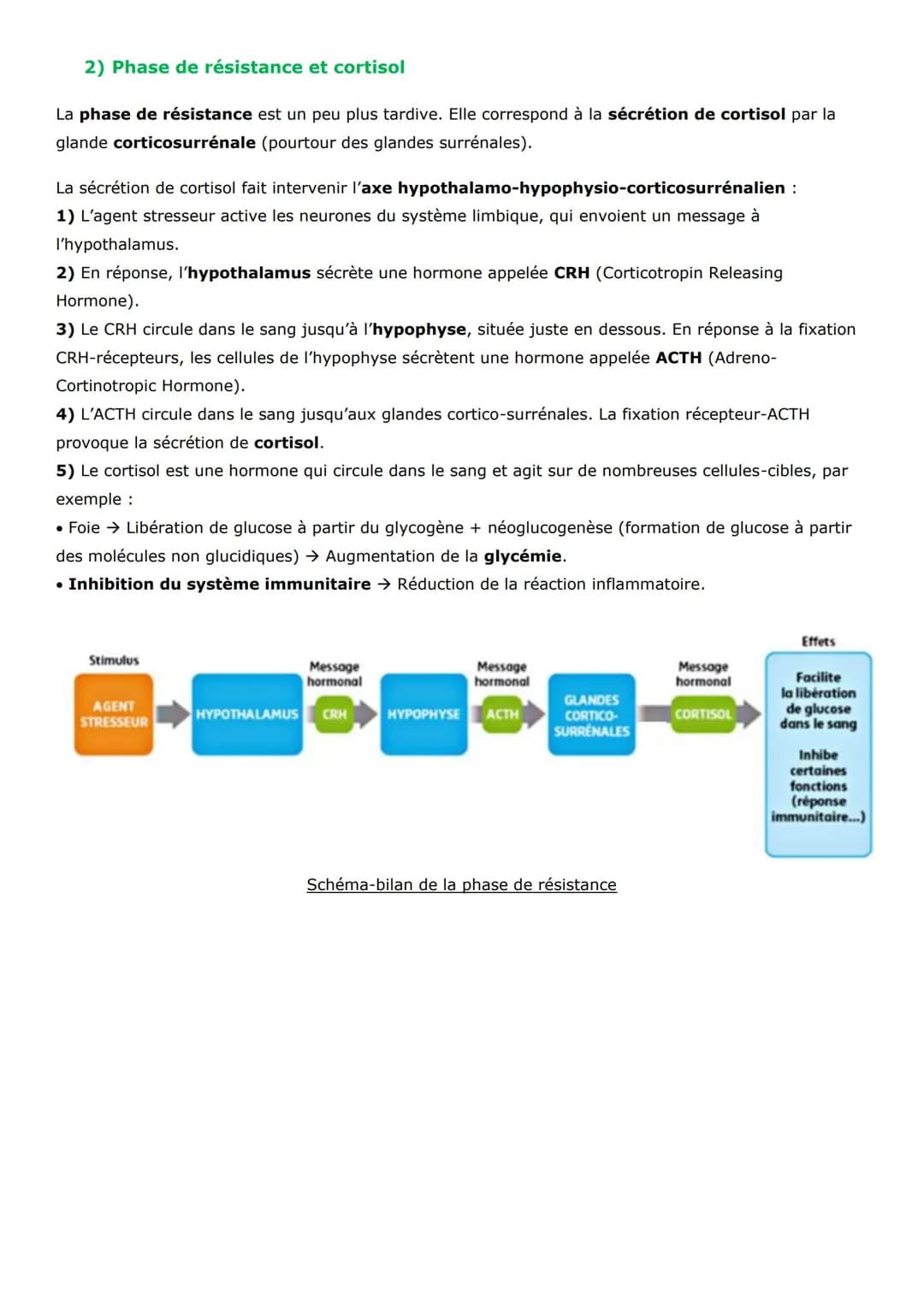 Thème 3 - Corps humain et santé
Chapitre 19:
Comportements et stress : l'adaptabilité de l'organisme
Nous vivons dans un environnement varia