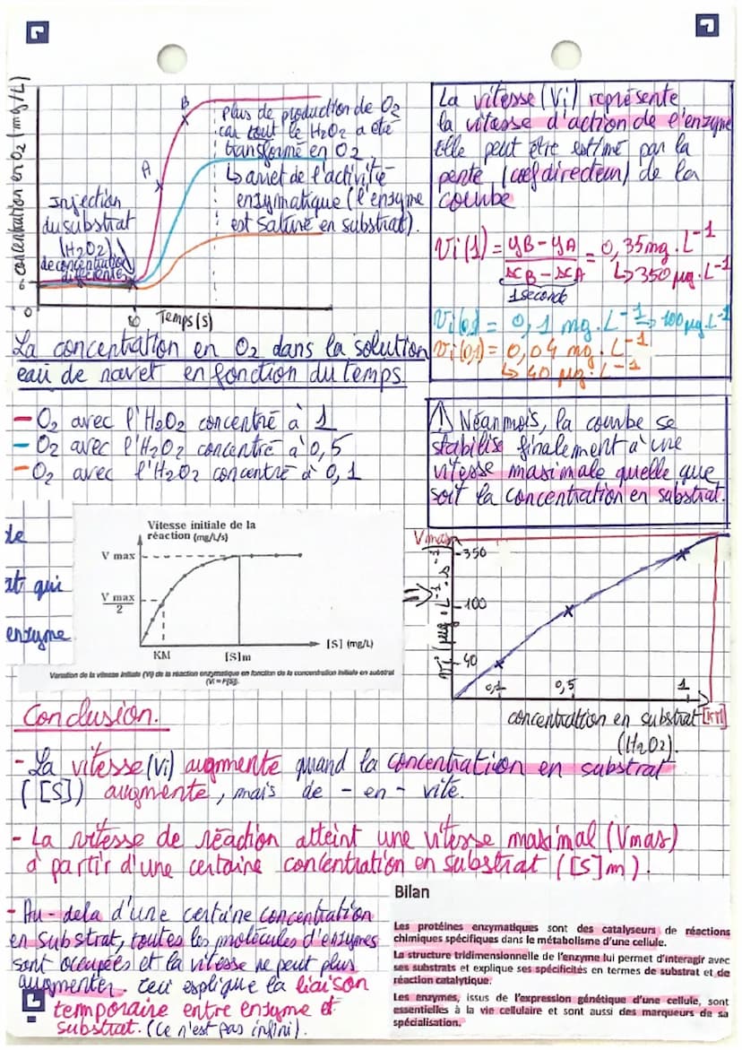 les enzymes
TP.2: Etude de la vitesse d'une réaction ensymales
que
C
اپنا
Montrer la variation de la vitesse initiale de la
reaction en fonc