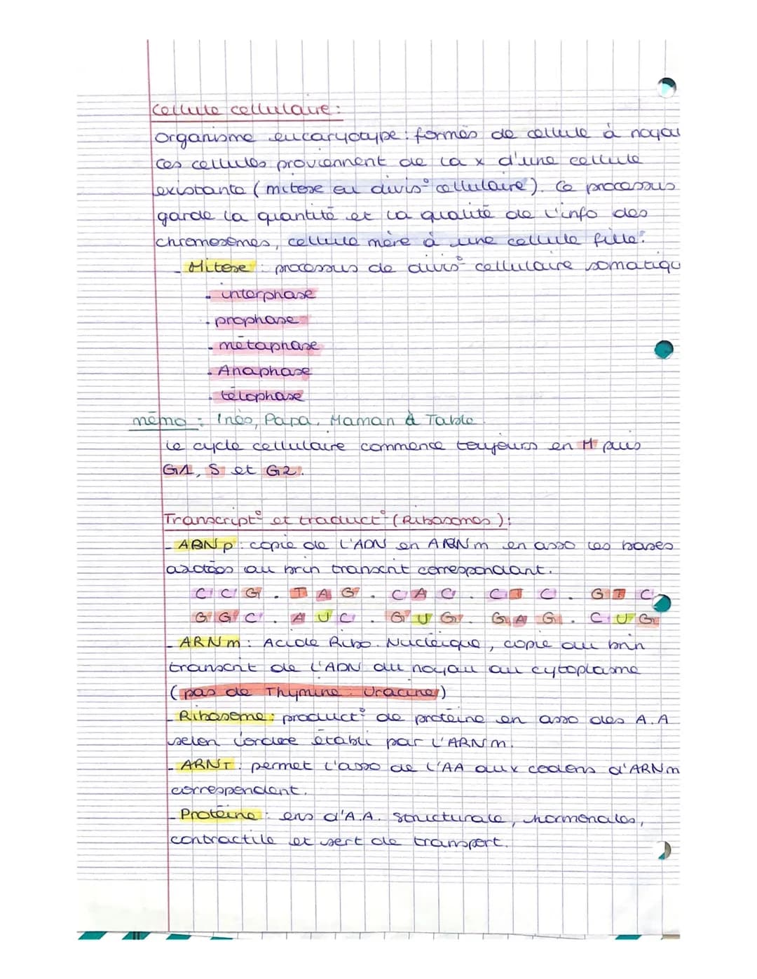 T2.
Def
ADN macromolecule, qui donne des infos sur
tes genes d'un être vivant. Former de
2 bring
nucleotide
en 2 helices
de bases azoters, d