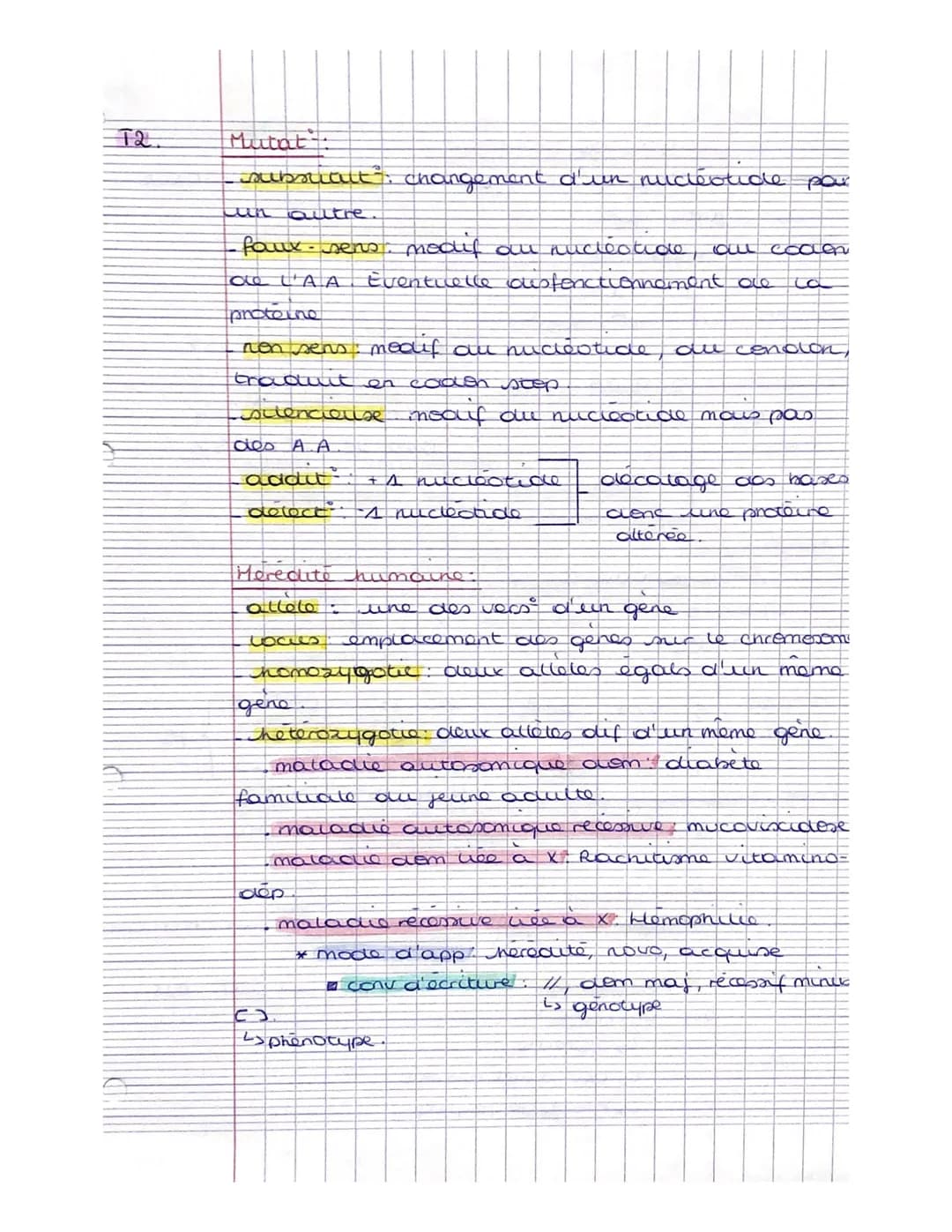 T2.
Def
ADN macromolecule, qui donne des infos sur
tes genes d'un être vivant. Former de
2 bring
nucleotide
en 2 helices
de bases azoters, d