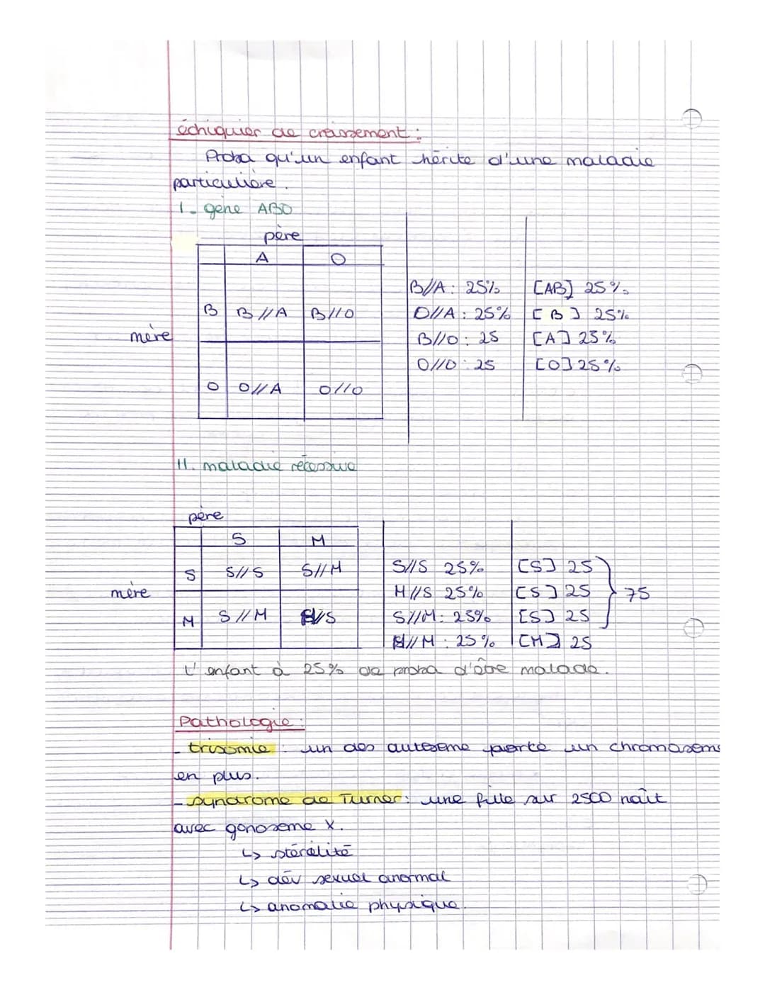 T2.
Def
ADN macromolecule, qui donne des infos sur
tes genes d'un être vivant. Former de
2 bring
nucleotide
en 2 helices
de bases azoters, d