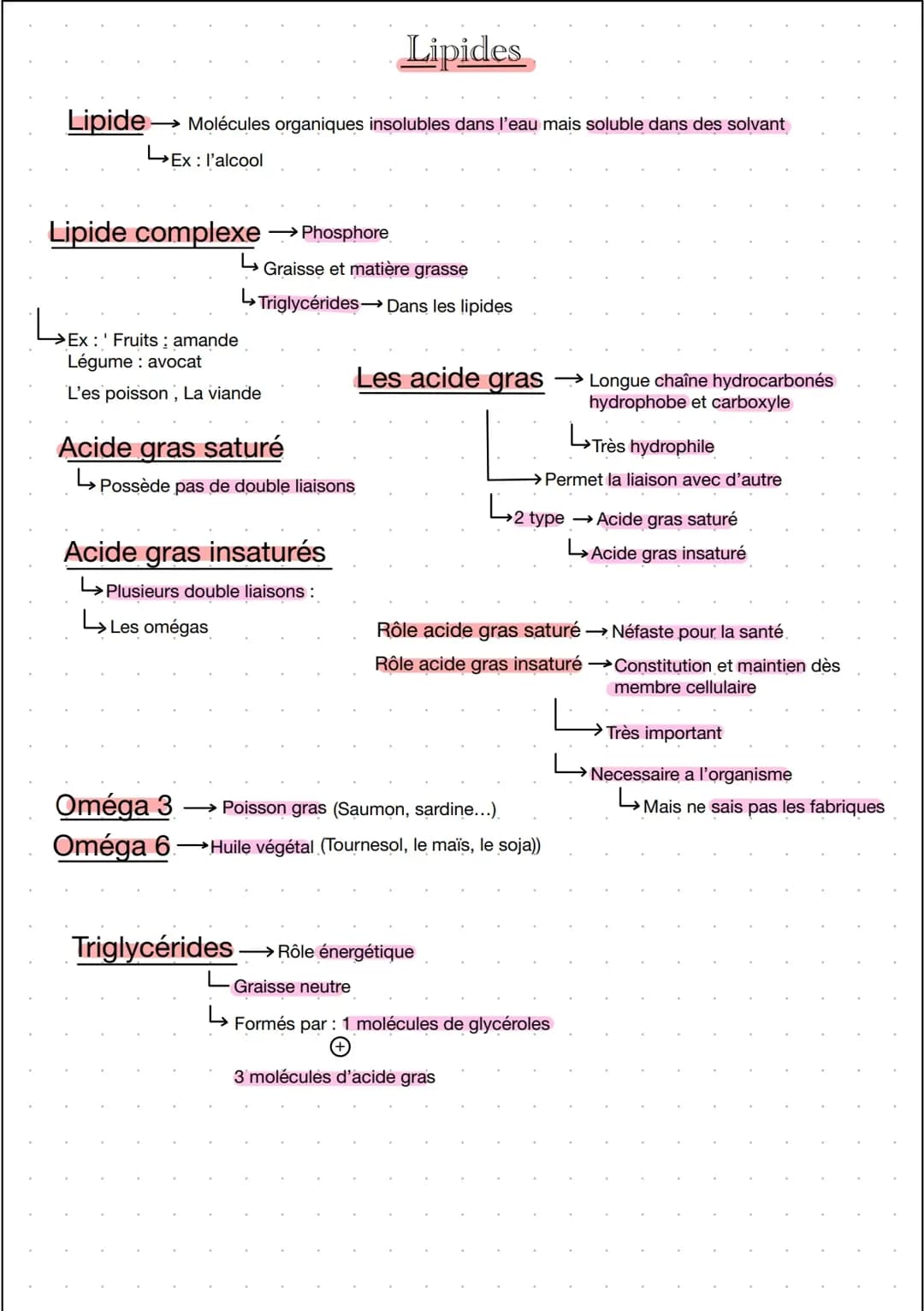 Lipides 