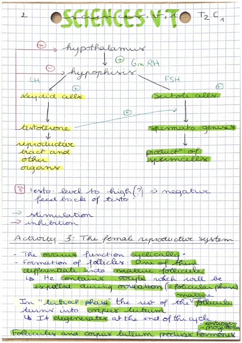 1
•Corps humains fecondat à puberti
I- Stade indiferencie à diferentiation
Chromosomes.
sescuels
OSETENCES. V TO T₂ C₁
XY
↓
presence
gene SR