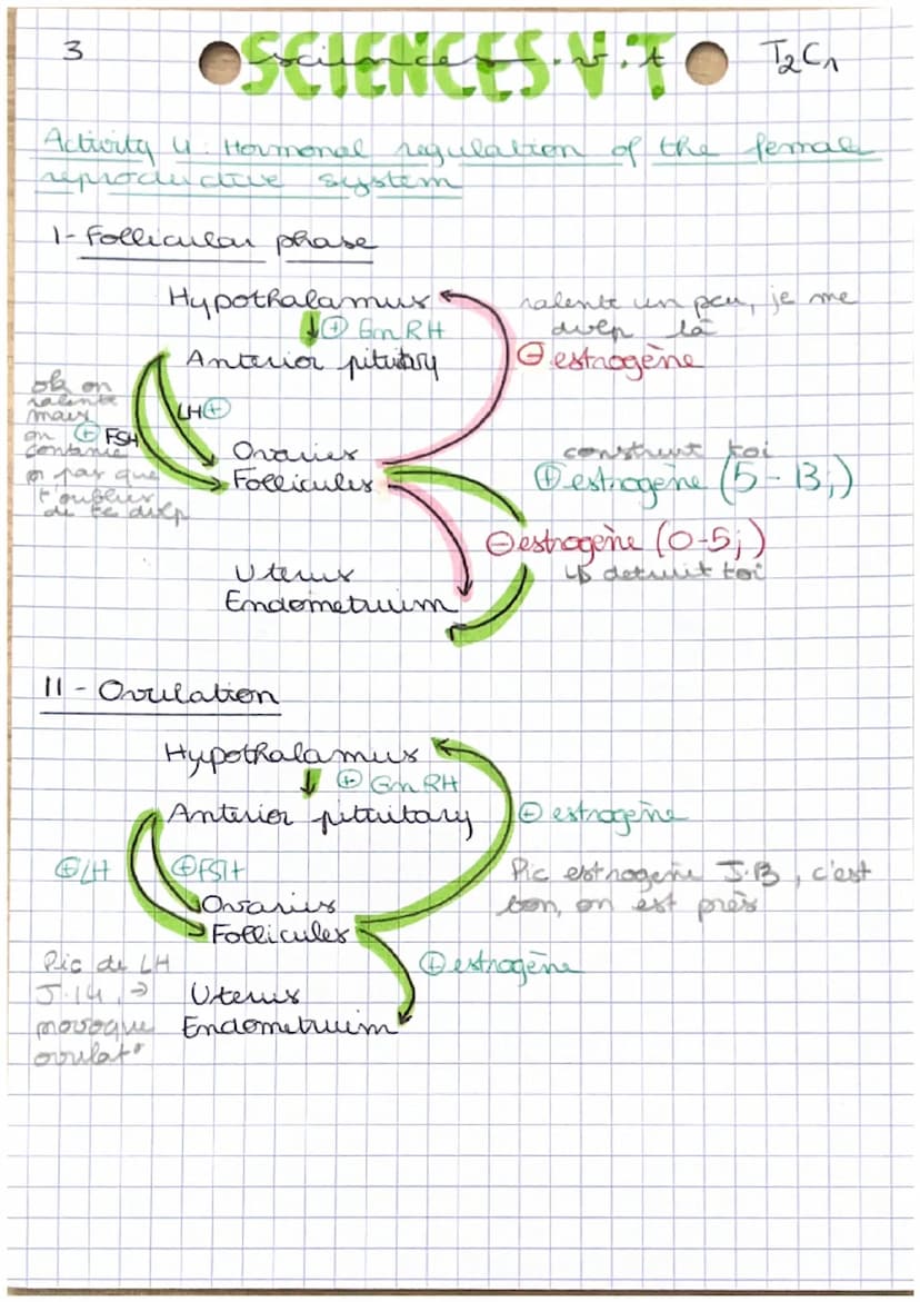 1
•Corps humains fecondat à puberti
I- Stade indiferencie à diferentiation
Chromosomes.
sescuels
OSETENCES. V TO T₂ C₁
XY
↓
presence
gene SR