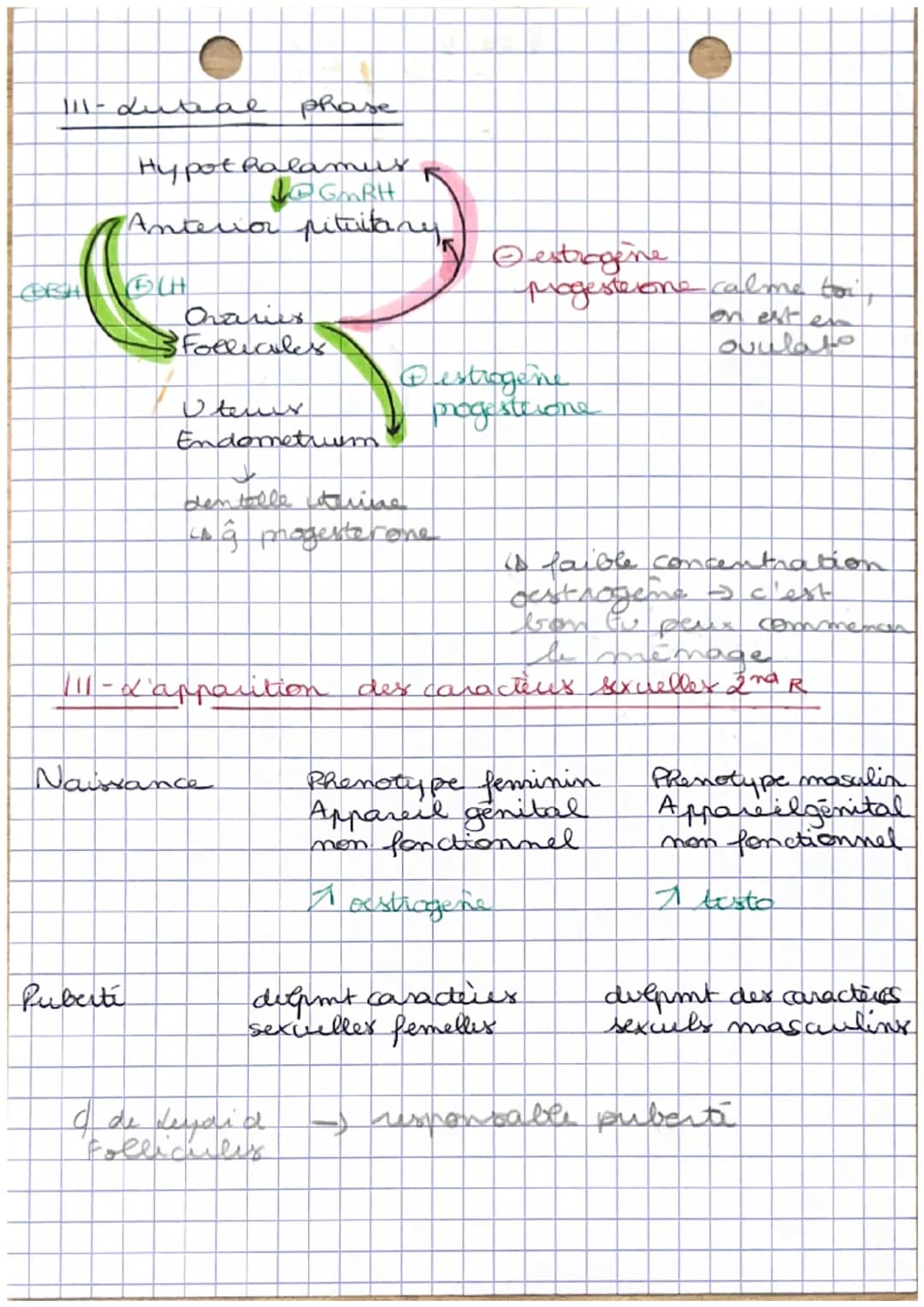 1
•Corps humains fecondat à puberti
I- Stade indiferencie à diferentiation
Chromosomes.
sescuels
OSETENCES. V TO T₂ C₁
XY
↓
presence
gene SR