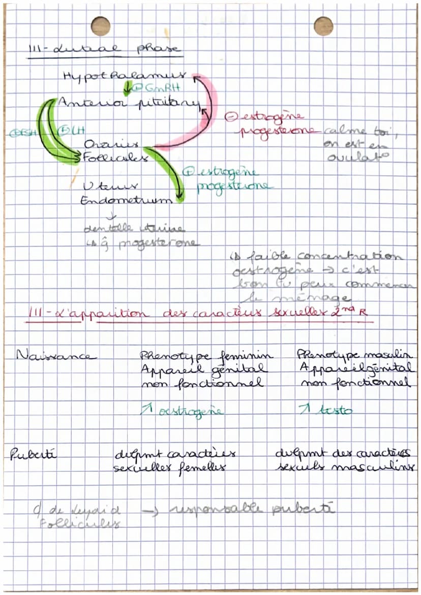 1
•Corps humains fecondat à puberti
I- Stade indiferencie à diferentiation
Chromosomes.
sescuels
OSETENCES. V TO T₂ C₁
XY
↓
presence
gene SR