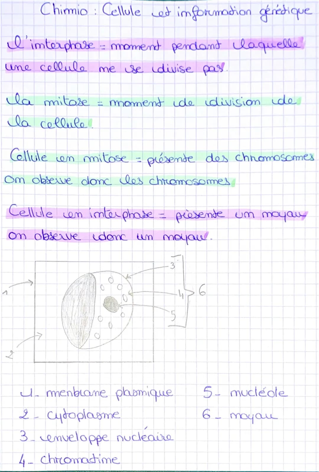 I'imterphase
une cellule me se divise pas.
Chimio: Cellule et information génétique
= moment pendant laquelle
Ila mitose
la cellule
S
Cellul