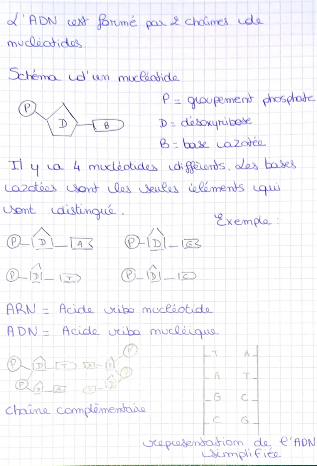 I'imterphase
une cellule me se divise pas.
Chimio: Cellule et information génétique
= moment pendant laquelle
Ila mitose
la cellule
S
Cellul