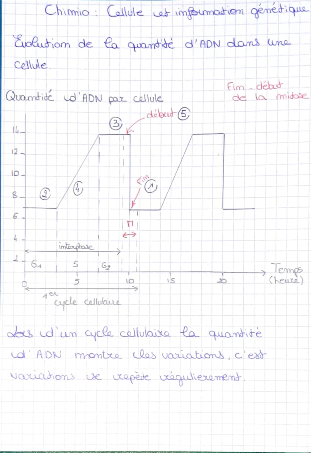 I'imterphase
une cellule me se divise pas.
Chimio: Cellule et information génétique
= moment pendant laquelle
Ila mitose
la cellule
S
Cellul