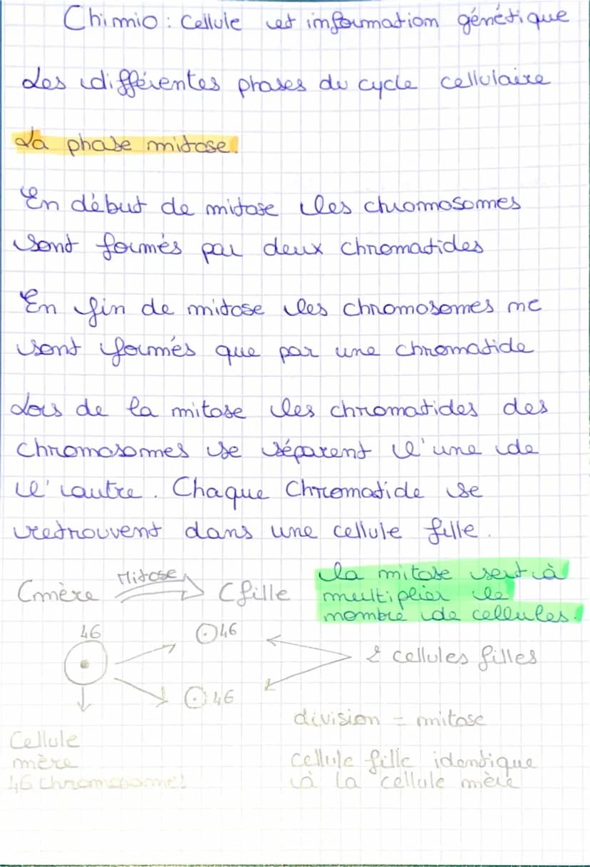 I'imterphase
une cellule me se divise pas.
Chimio: Cellule et information génétique
= moment pendant laquelle
Ila mitose
la cellule
S
Cellul
