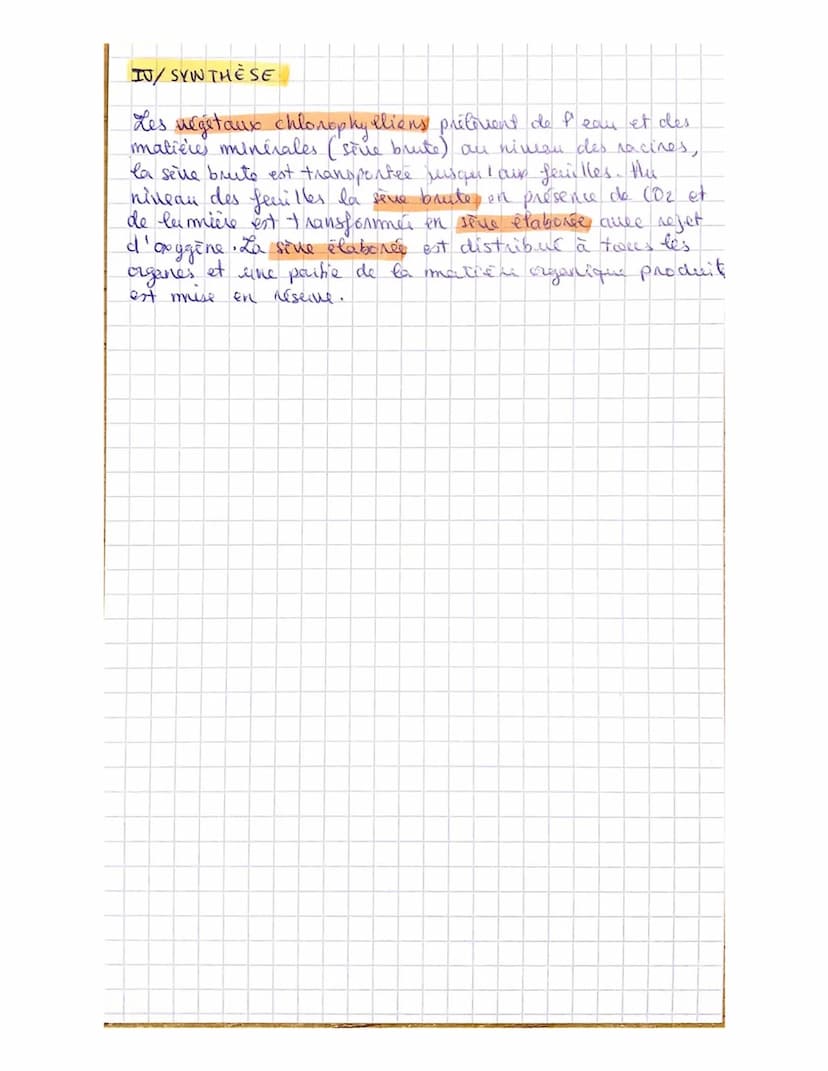 Chapihe 2: Nutrition et
organisation des plantes
chlorophylliennes.
I/PRELEVEMENT DE L'EAU ET DES MATIÈRES MINERALES
L'eau et les maticies m