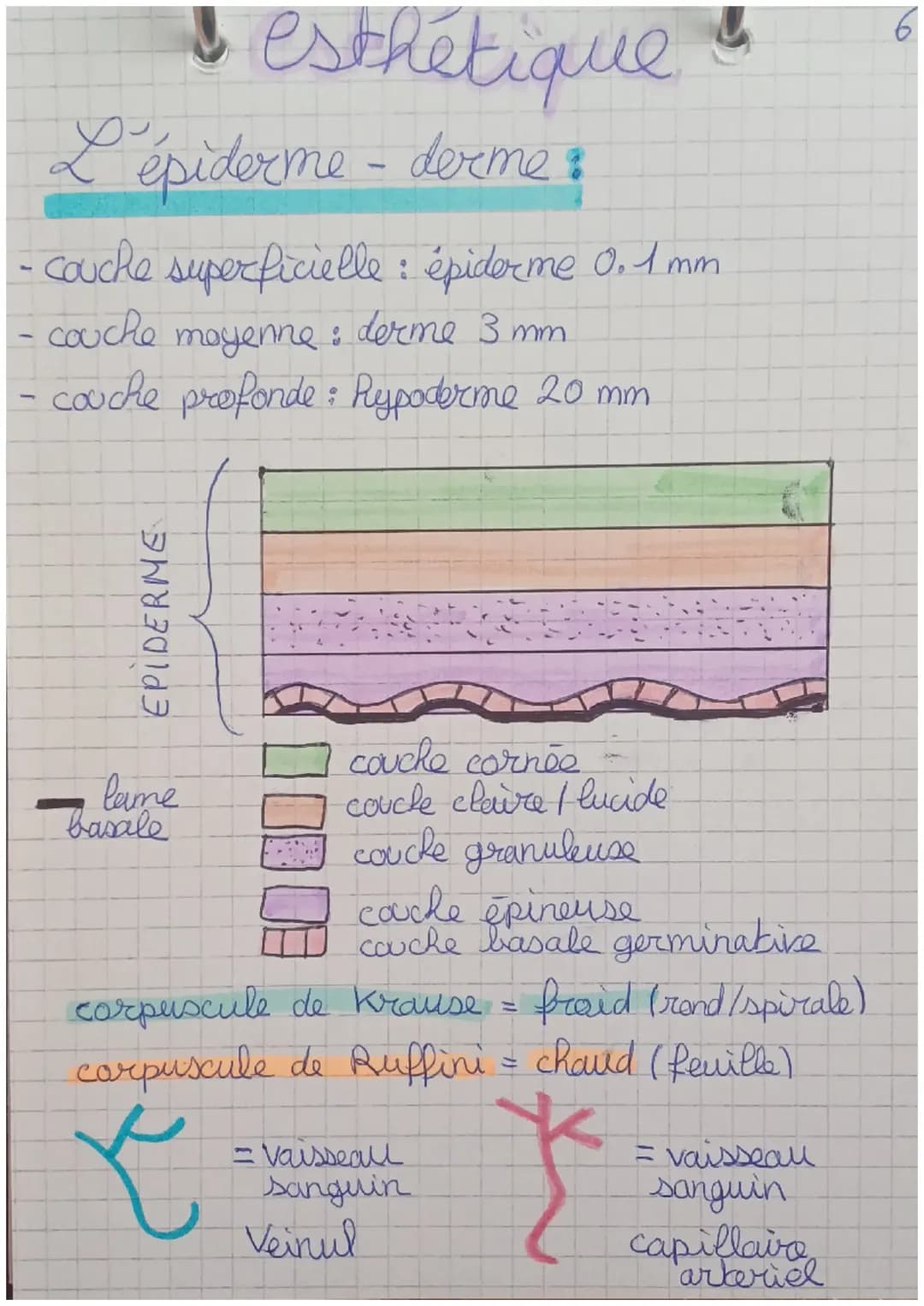 esthétique 