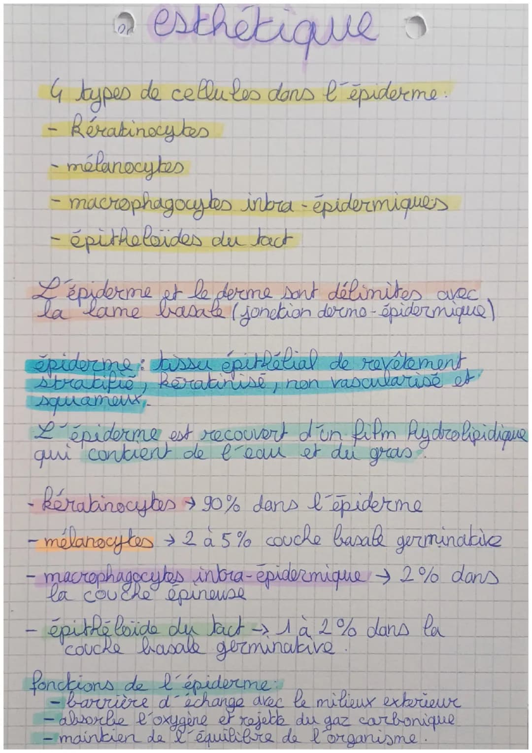 -
1
I esthétique
L'épiderme - derme :
couche superficielle : épiderme 0.1 mm
couche moyenne : derme 3 mm.
couche profonde : hypoderme 20 mm
