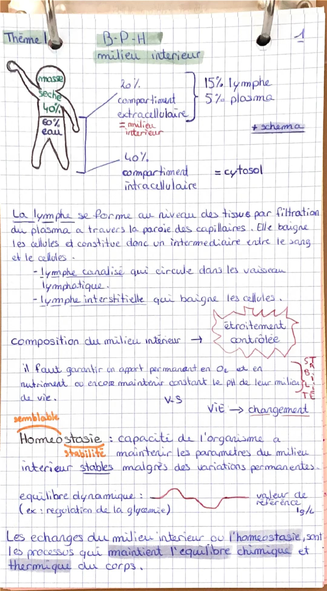 # Thème 1

B-P-H
milieu intérieur

```
masse
sèche
40%
```
```
60%
eau
```

20%.
compartiment
extracellulaire
= milieu
intérieur

15% lymphe