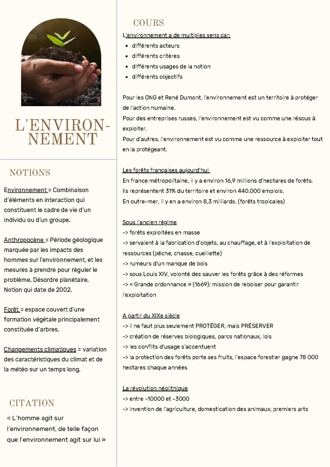 L'environnement