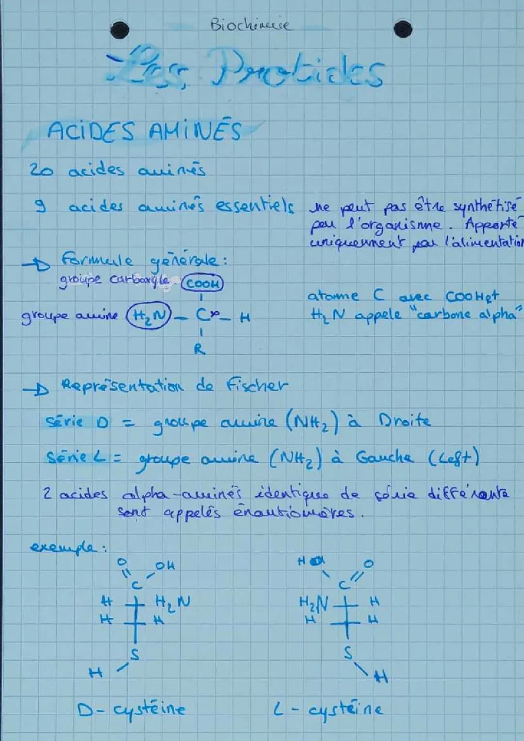 Découvre la structure des protéines et les dipeptides amusants