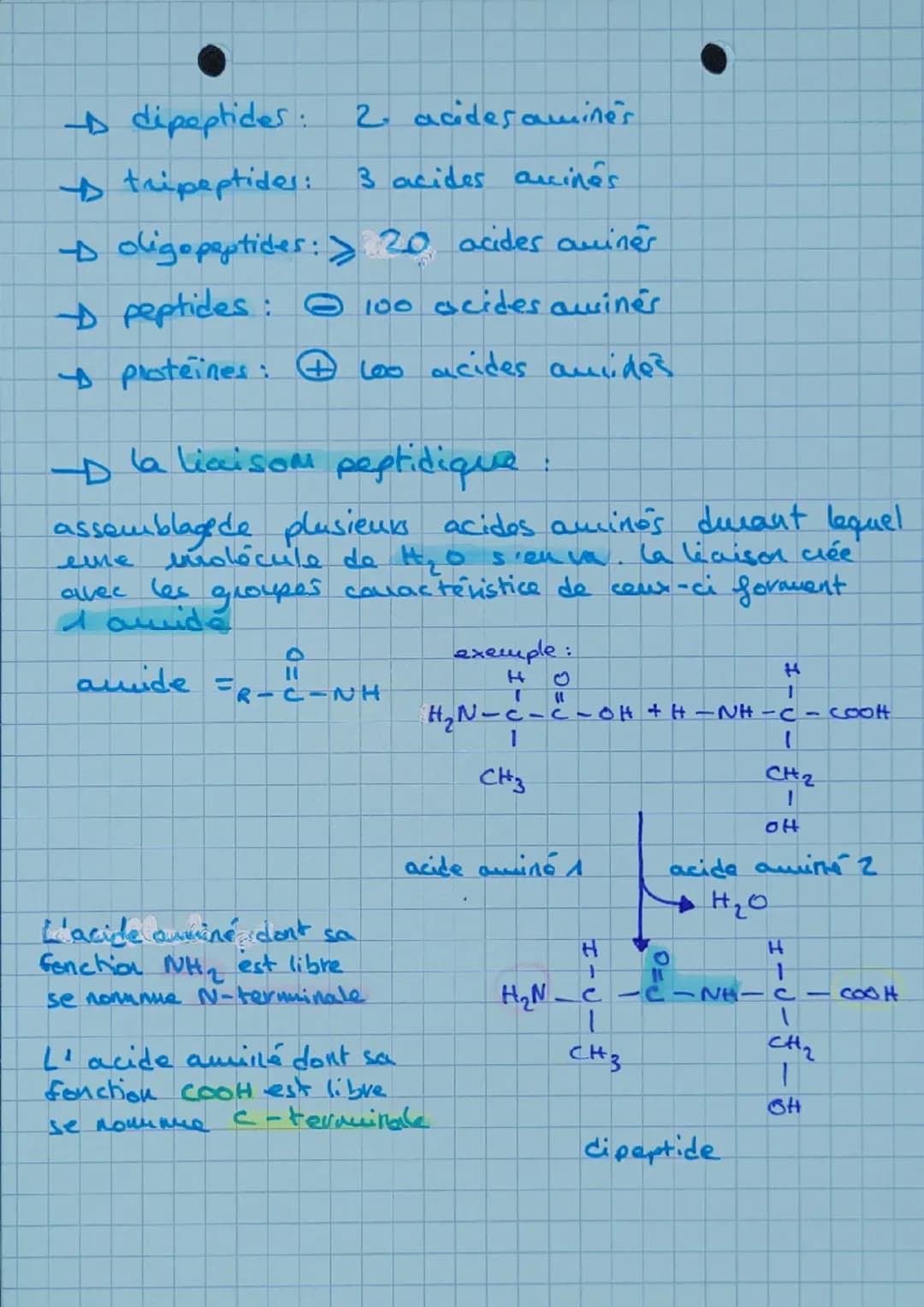 ACIDES AMINES
20 acides aminés.
acides aminés essentiels me peut pas être synthétise
peu l'organisme. Apporte
uniquement pour l'alimentation