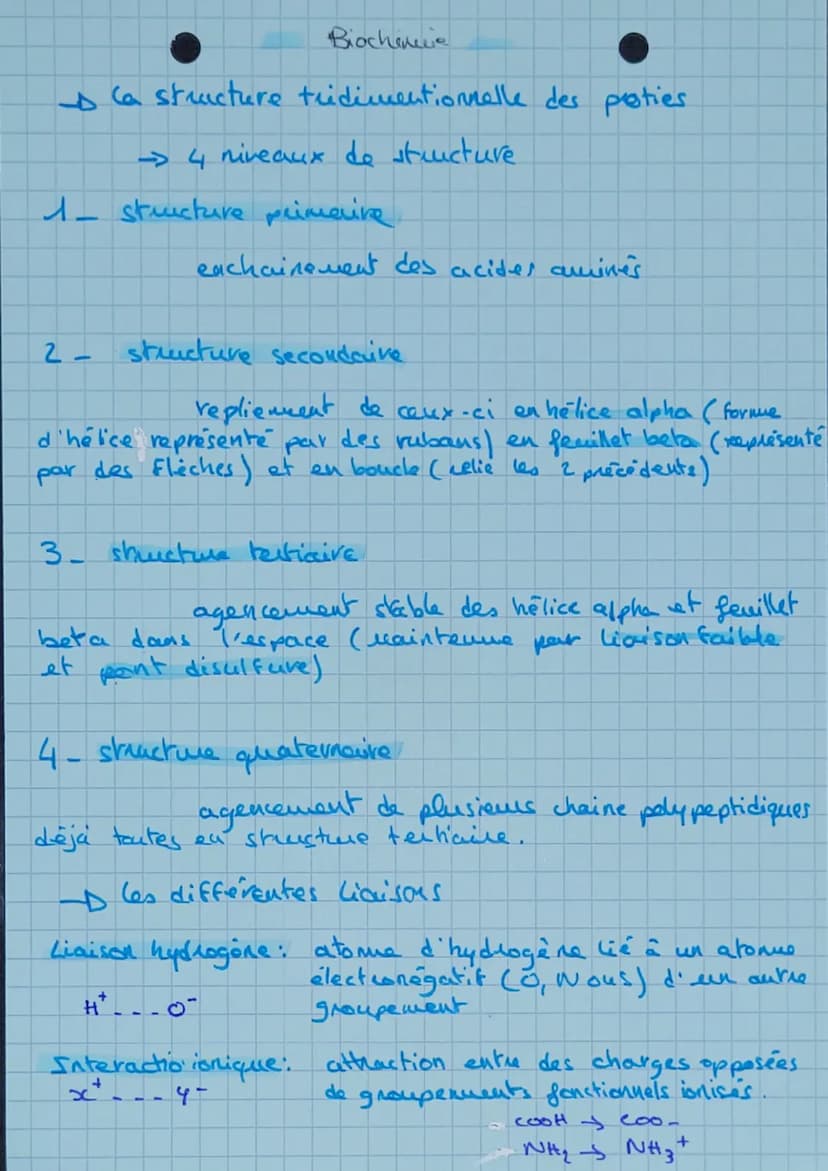 ACIDES AMINES
20 acides aminés.
acides aminés essentiels me peut pas être synthétise
peu l'organisme. Apporte
uniquement pour l'alimentation