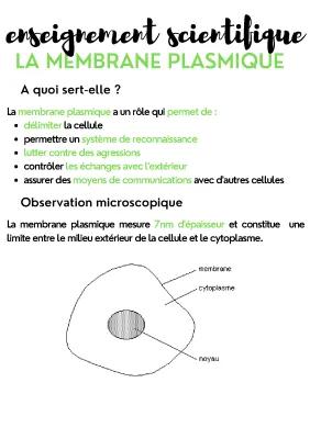 Know Enseignement scientifique - La membrane plasmique  thumbnail